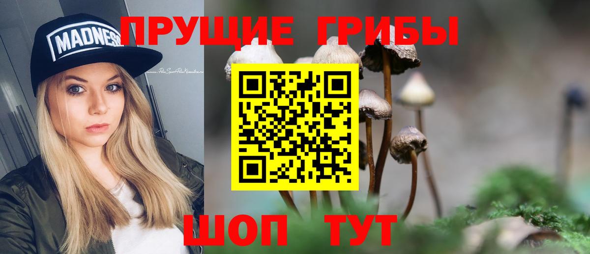где купить наркоту  Галлюциногенные грибы ЛСД  Вход с VPN  Саратов 