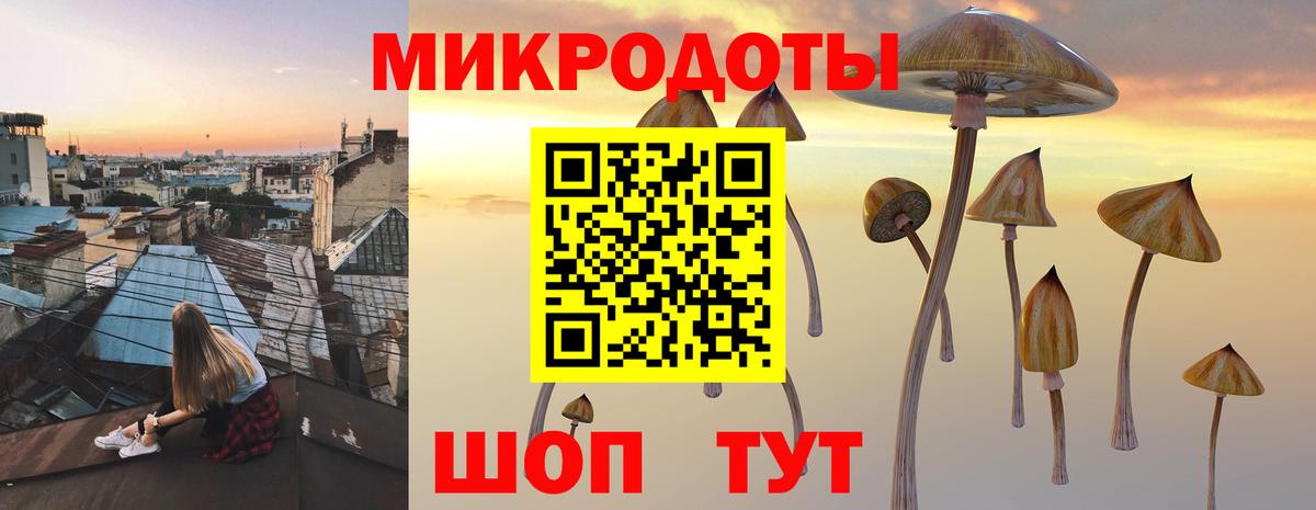 Галлюциногенные грибы Magic Shrooms Саратов